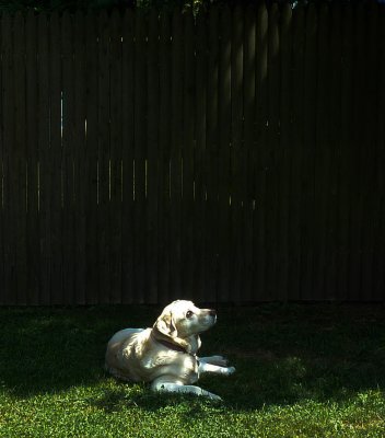 pbase Gabi Sunning on  August 7 2010 1 of 1.jpg