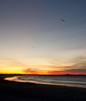 pbase sunrise at 2nd beach on October 30 2010 1 of 1.jpg