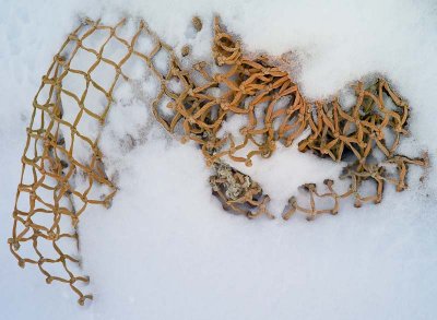 pbase Fishing net in the snow Warren at 8 degrees F  1-23-11 1 of 1.jpg