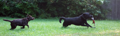 dynamic duo  October 6  2012 day 91.jpg