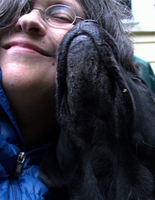 Java and me .jpg