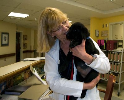 pbase Moki Therapy R1012314.jpg