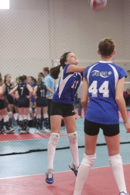 IMG_8730.jpg