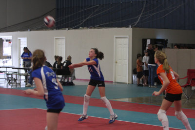 IMG_8833.jpg
