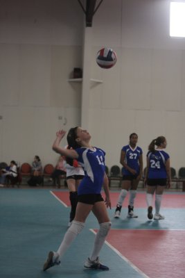 IMG_8860.jpg