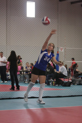 IMG_8907.jpg