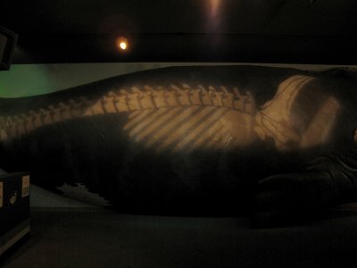 g1/72/541772/3/131497985.f6ynKMsX.jpg