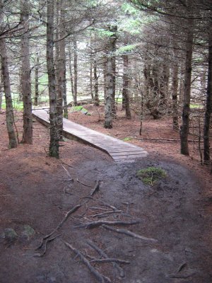 Hiking trail, Keltic Lodge
