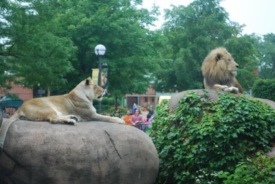 Lincoln Park zoo