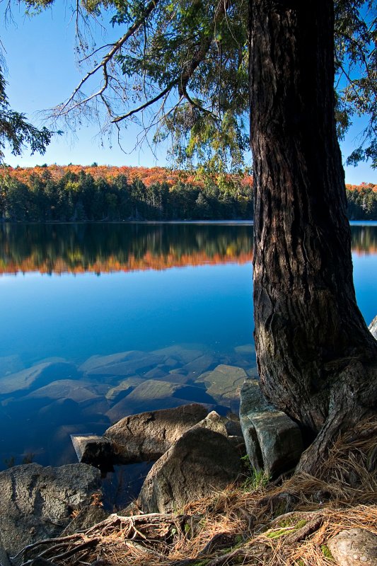 A Calm Fall Afternoon I