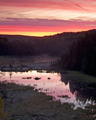 Sunrise Over Beaver Pond