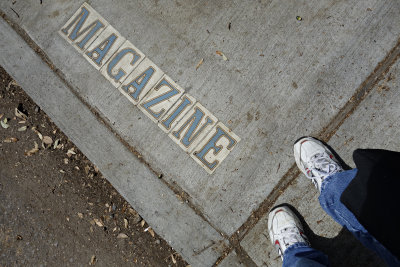 _DSC0483.jpg