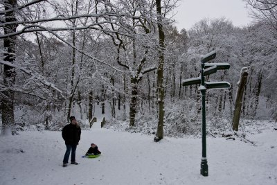 Coldfall Woods - Sign Post