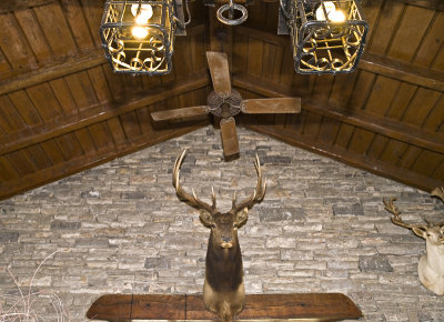 Light fixtures,  fan and deer head
