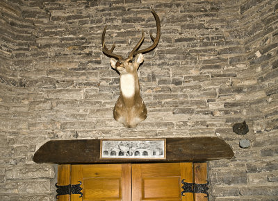Deer head door