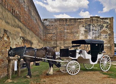 Horse, carriage, and wall, Jefferson, TX