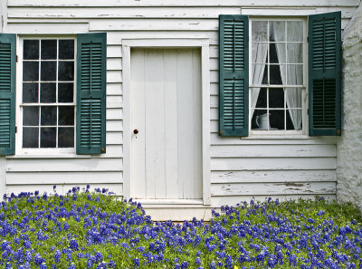 Windows and door