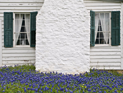 Windows and chimney