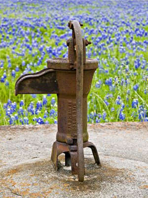 Well pump and bluebonnets