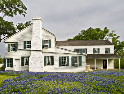 Side in bluebonnets