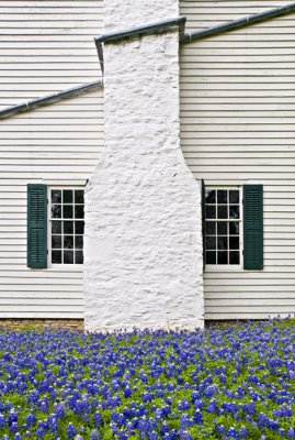Chimney and drain pipe