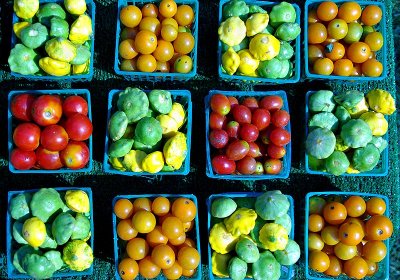 Squash and tomatoes