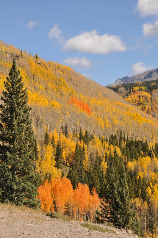 Fall splendor