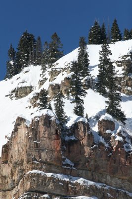 Looking up at the Hermosa Cliffs