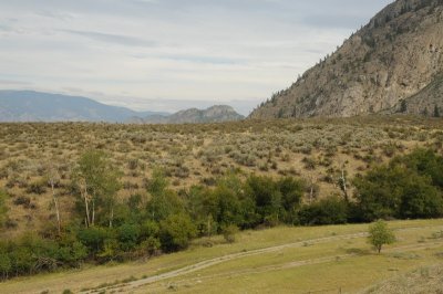 DSC_2420.jpg