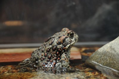 DSC_2447.jpg