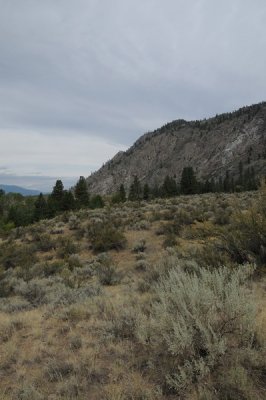 DSC_2455.jpg