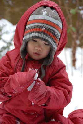 DSC_2342.jpg