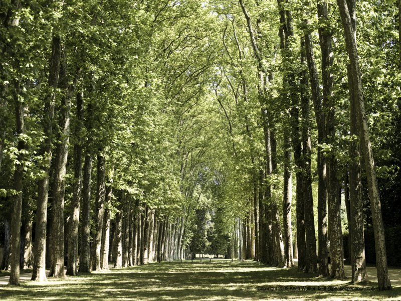 10-07-20H-0252a.JPG