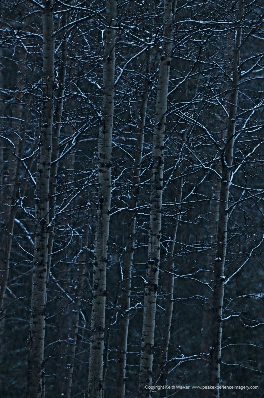 08-12-06-057a.JPG