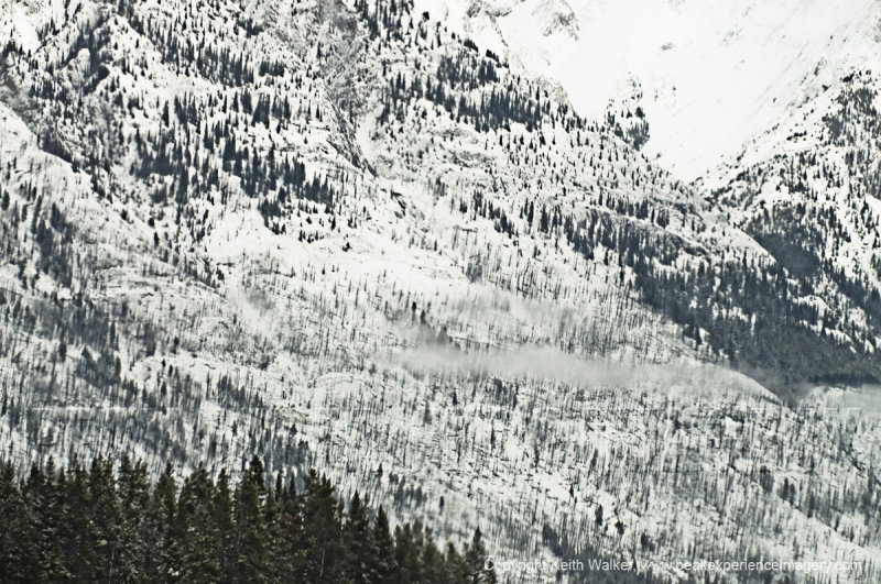 11-02-04-073a.jpg