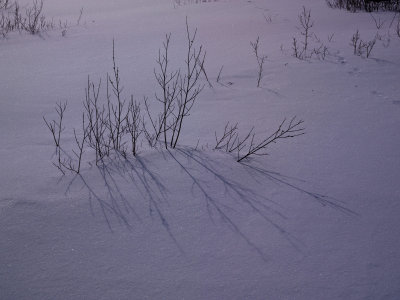 09-02-14H-0035a.jpg