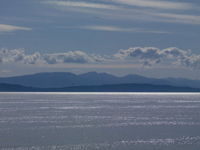 a1068.jpg