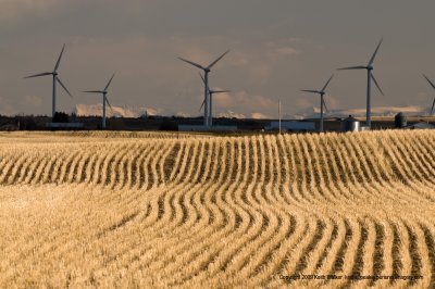 09-05-10-0059a.JPG