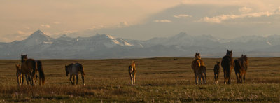09-05-10-0117a.JPG