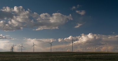 09-05-10-0271a.JPG