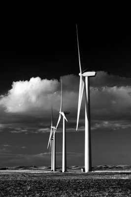 09-05-10-0304b.jpg