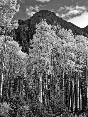 09-06-22 - Glowing Trees in Banff National Park, Canada