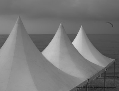 10-07-20H-0513a.JPG