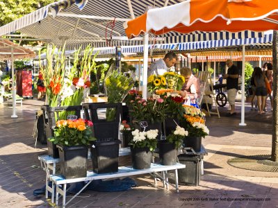 10-07-20H-1218a.JPG