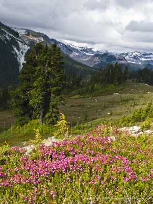 g1/72/580772/3/128093720.PUrhU96J.jpg