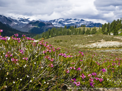10-08-27H-030a.jpg