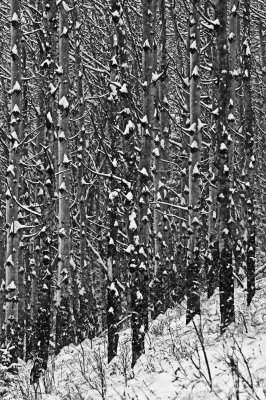 08-12-06-063a.JPG