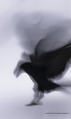 10-02-25-320a.JPG