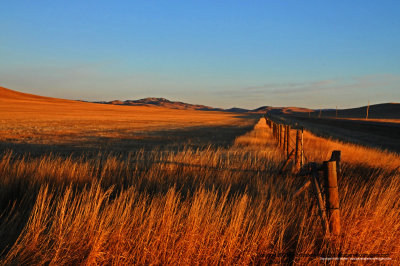 08-01-13 - Southern Alberta Scenery