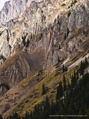 10-10-08-017a.JPG